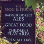 dog and duck